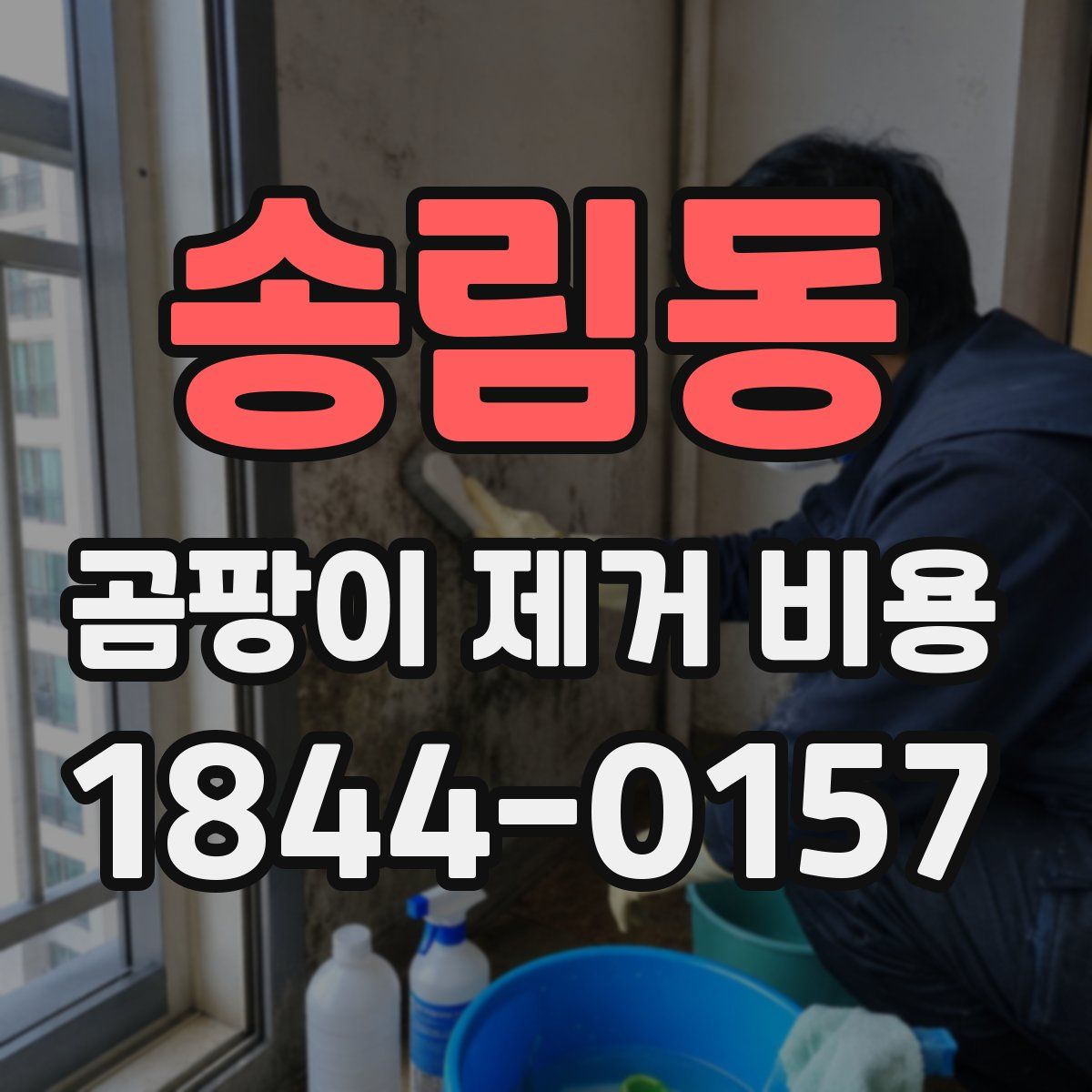송림동 곰팡이 제거 비용