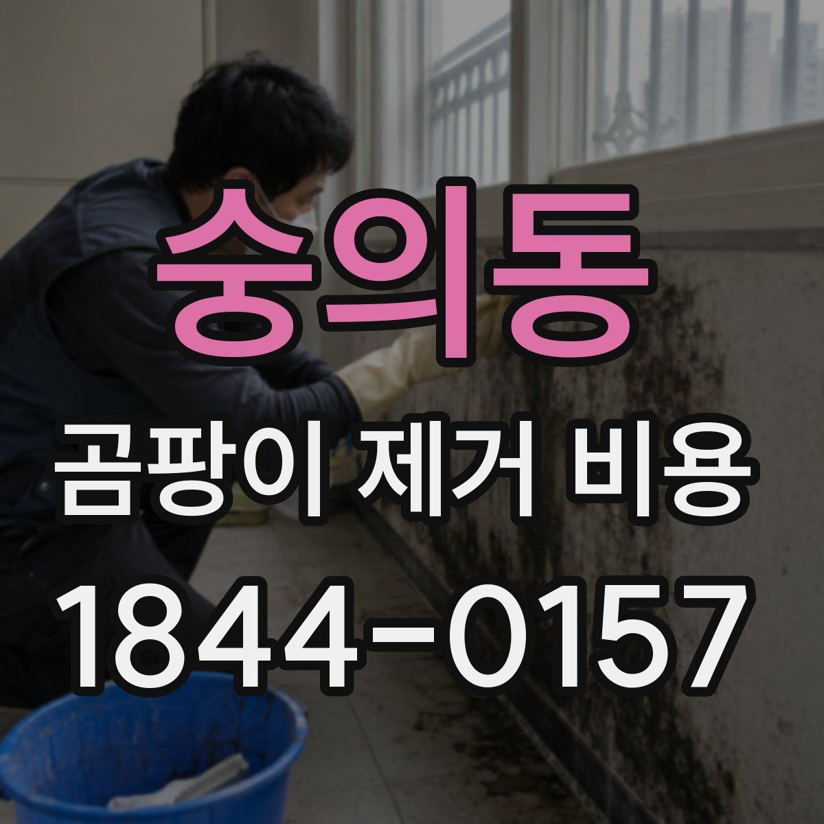 숭의동 곰팡이 제거 비용