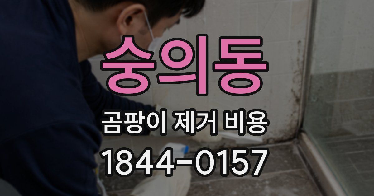 숭의동 곰팡이 제거 비용