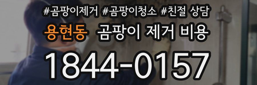 용현동 곰팡이 제거 비용