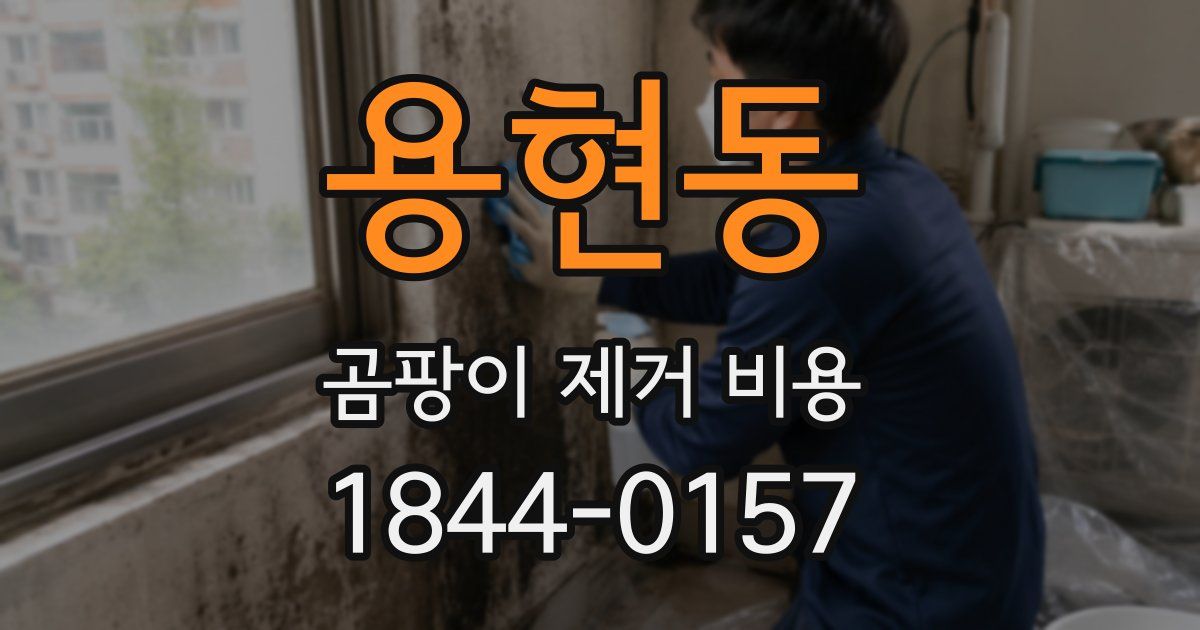 용현동 곰팡이 제거 비용
