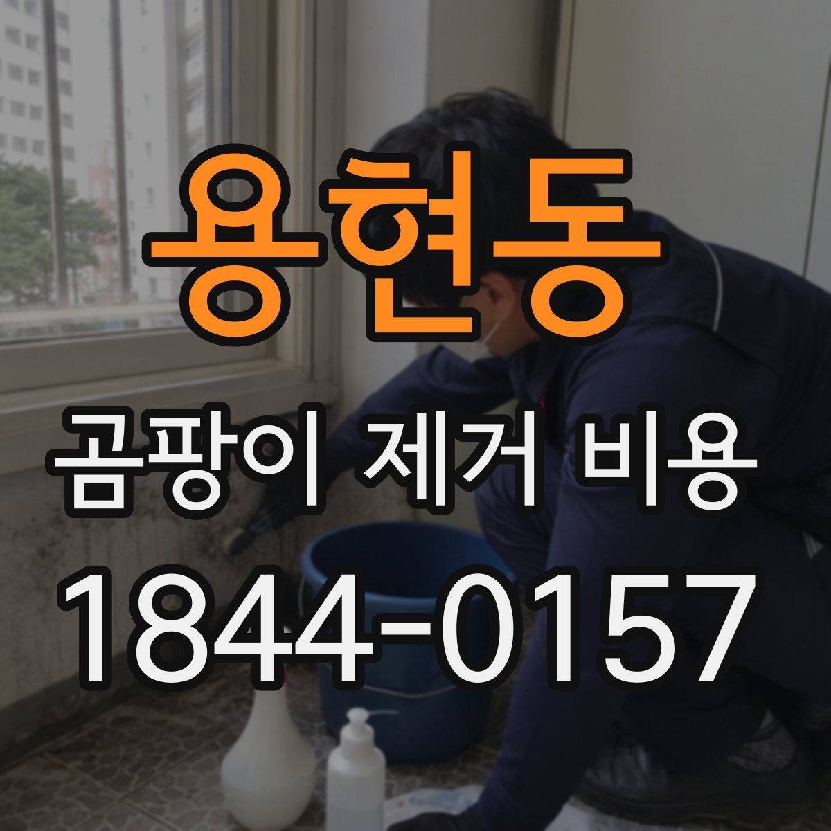 용현동 곰팡이 제거 비용