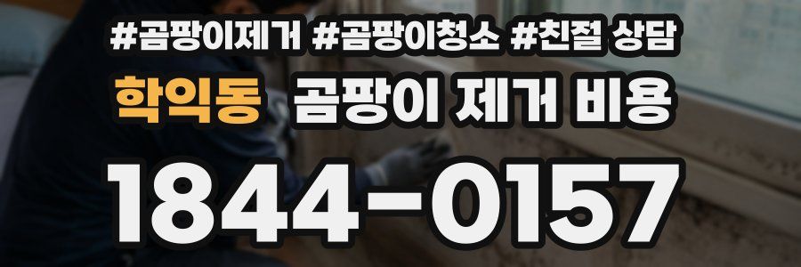 학익동 곰팡이 제거 비용
