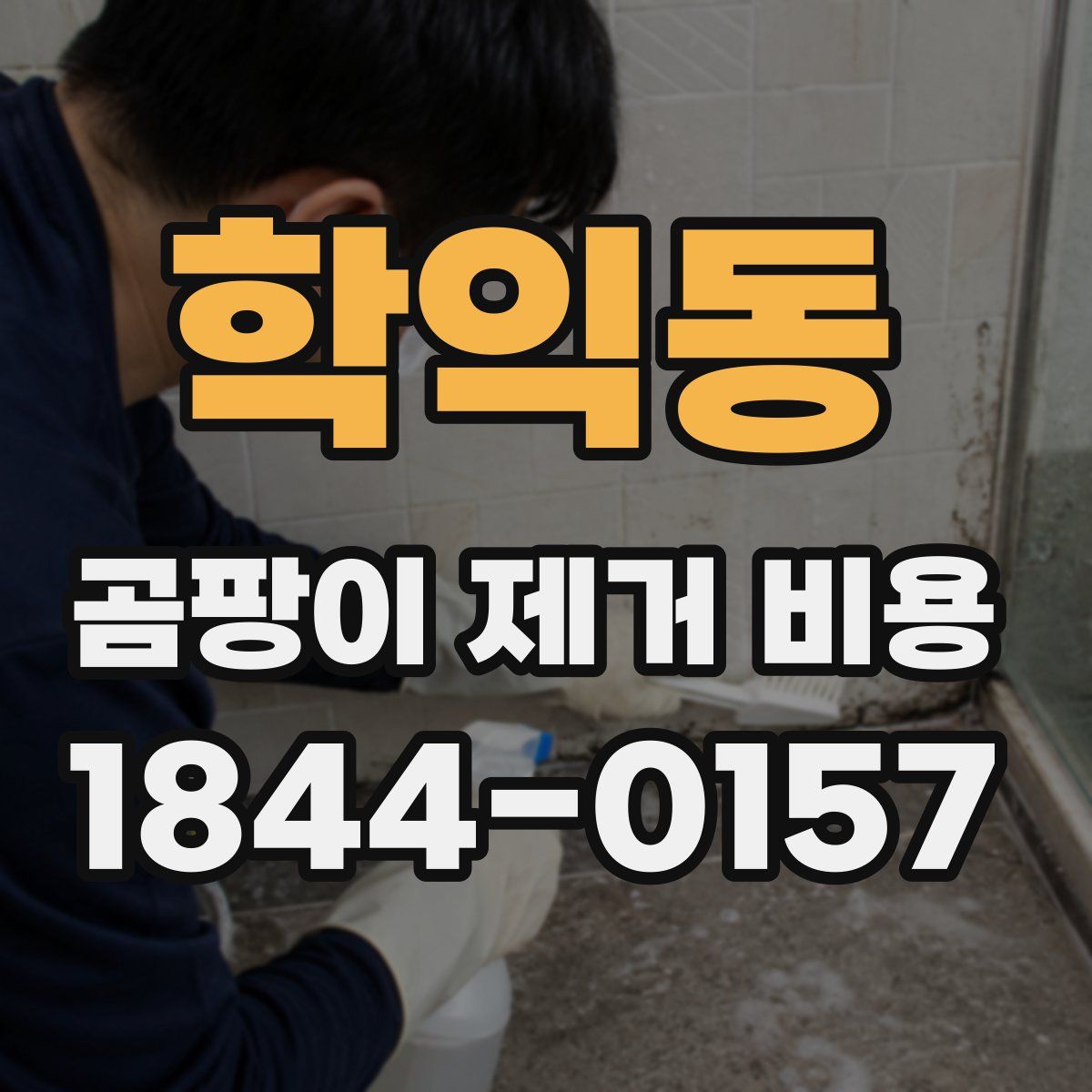 학익동 곰팡이 제거 비용