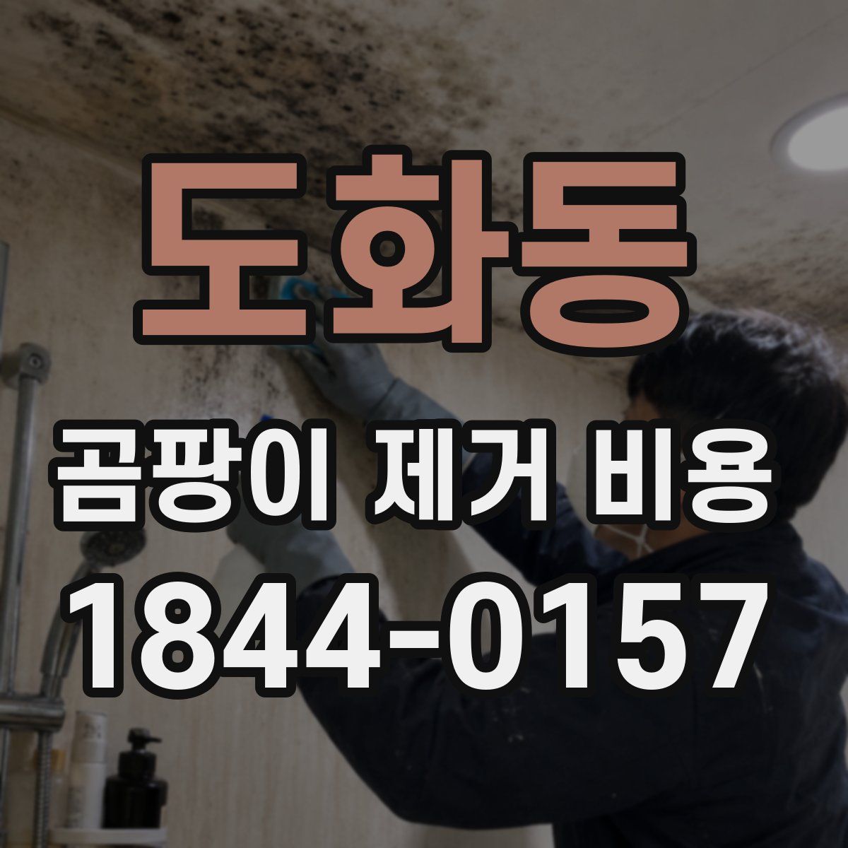 도화동 곰팡이 제거 비용