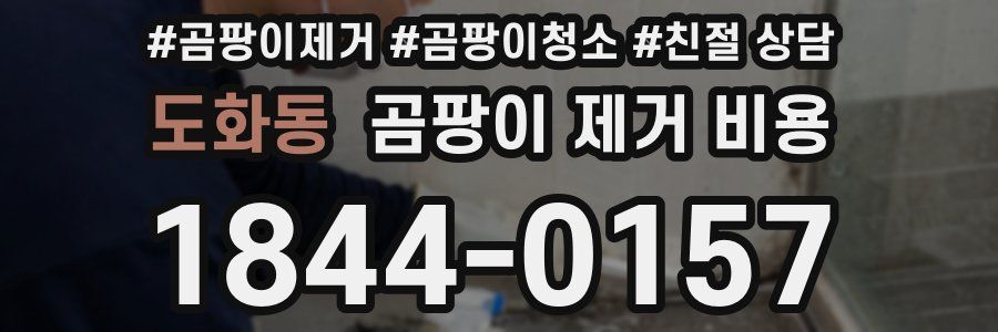 도화동 곰팡이 제거 비용