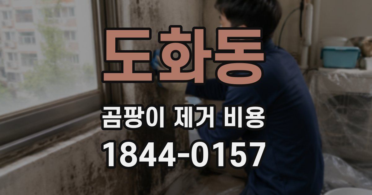 도화동 곰팡이 제거 비용