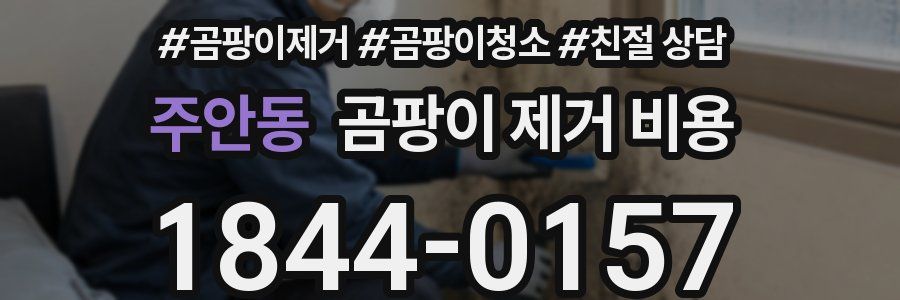 주안동 곰팡이 제거 비용