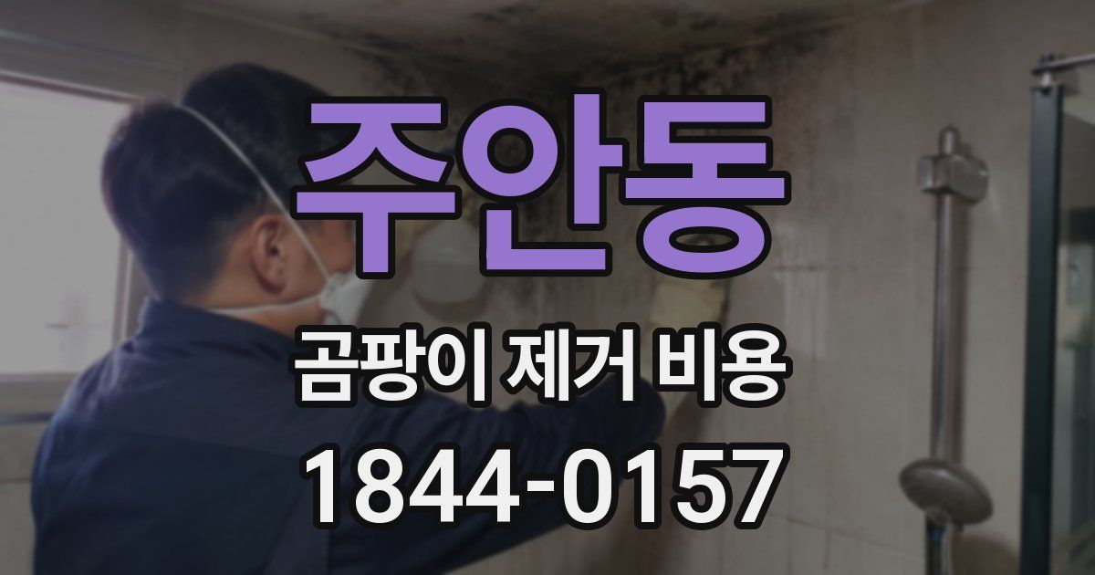 주안동 곰팡이 제거 비용