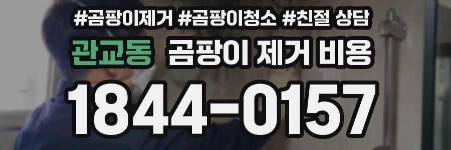 관교동 곰팡이 제거 비용