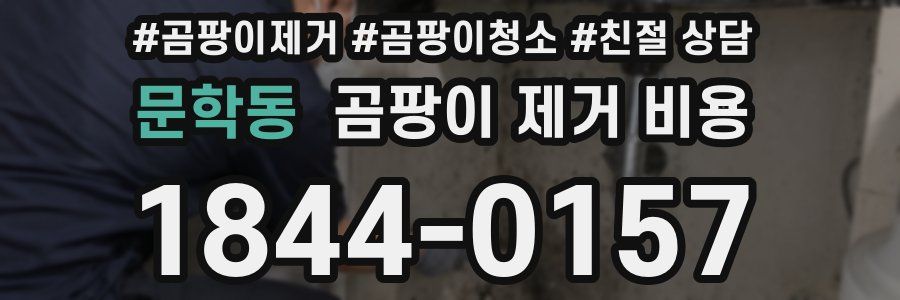 문학동 곰팡이 제거 비용