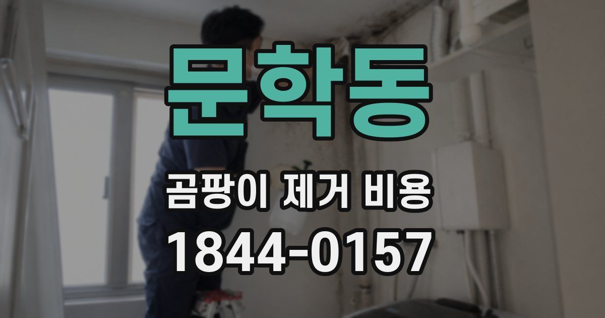 문학동 곰팡이 제거 비용