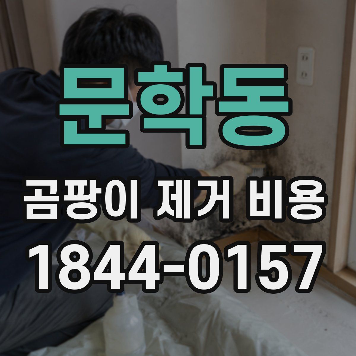 문학동 곰팡이 제거 비용