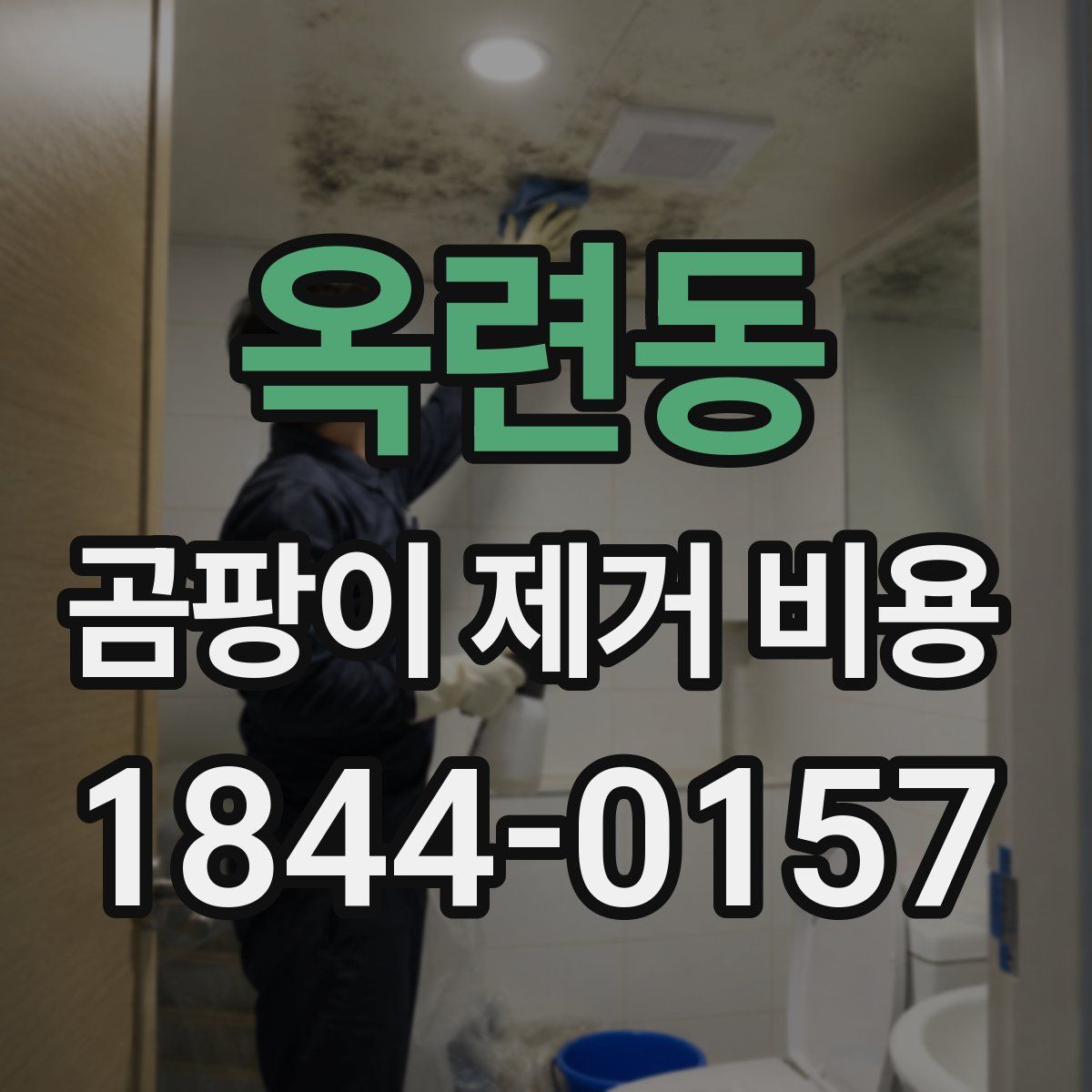 옥련동 곰팡이 제거 비용