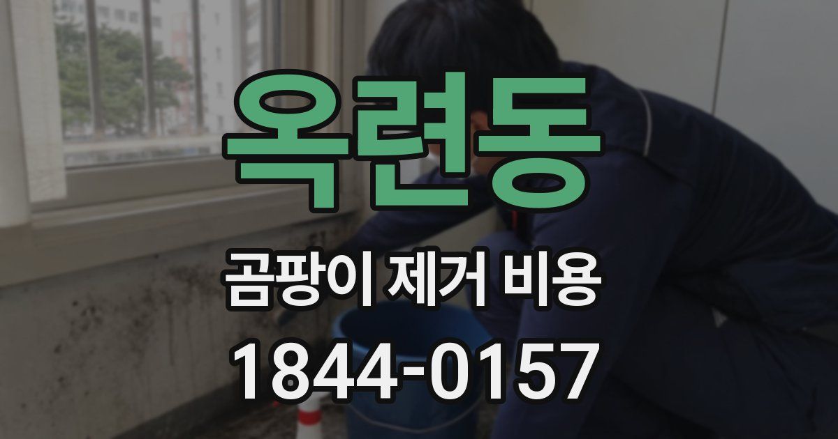 옥련동 곰팡이 제거 비용