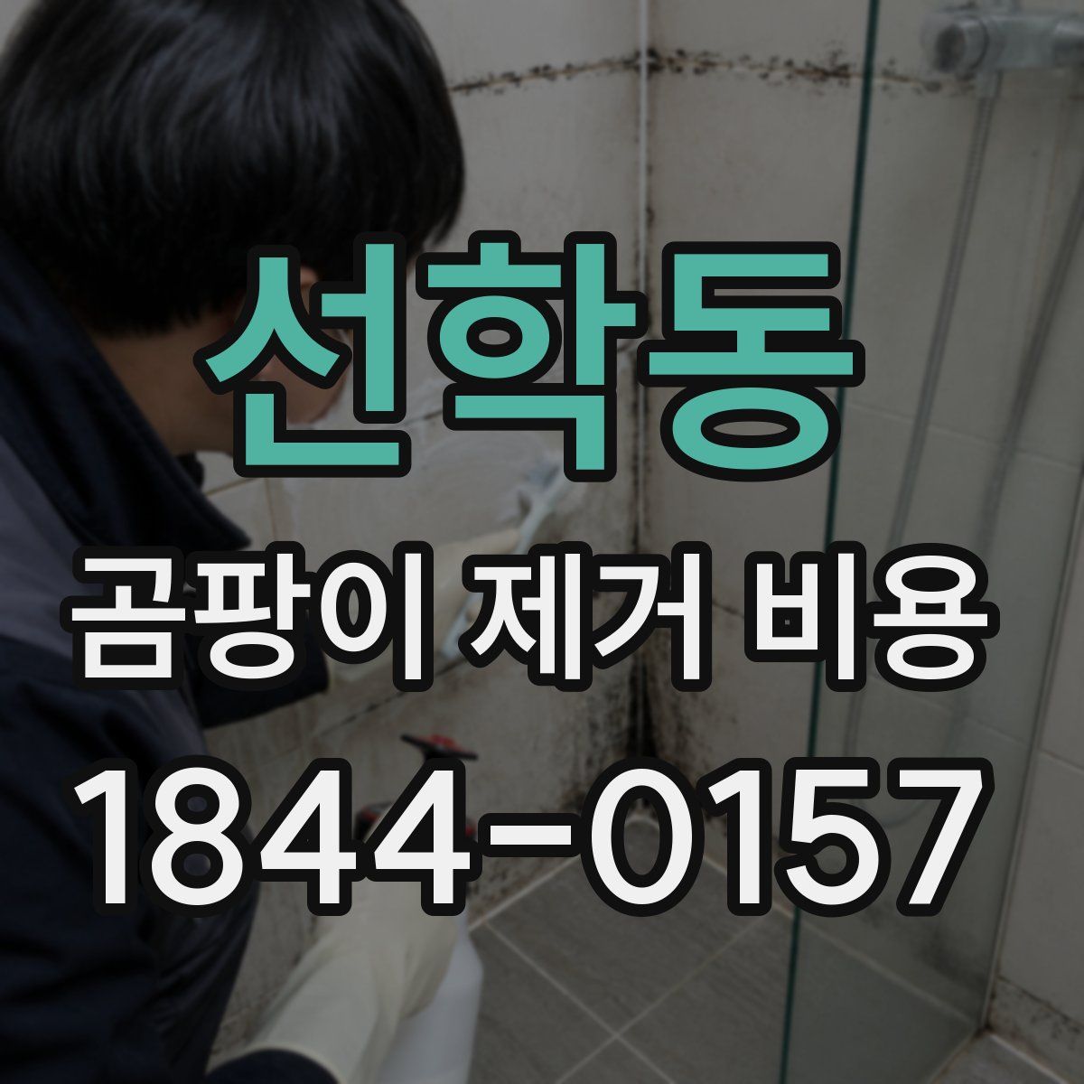 선학동 곰팡이 제거 비용