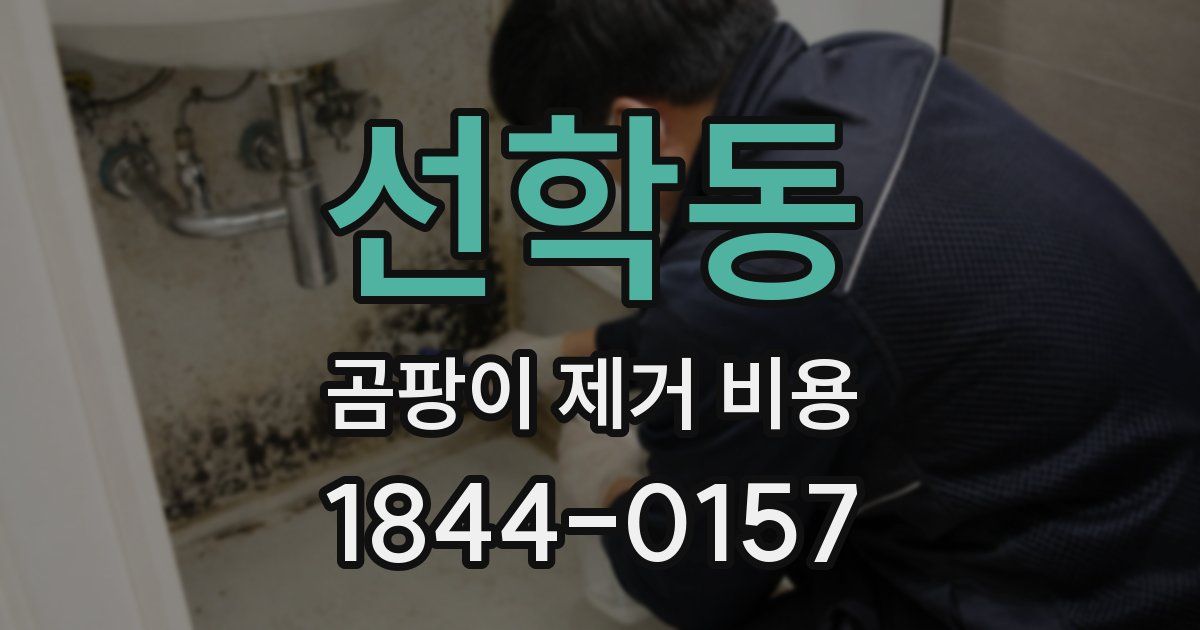 선학동 곰팡이 제거 비용