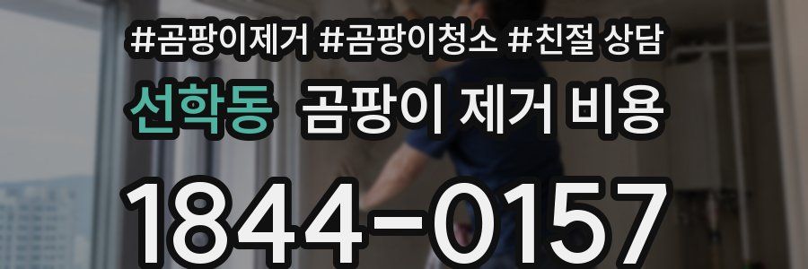 선학동 곰팡이 제거 비용