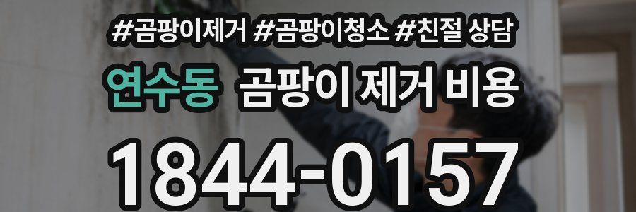 연수동 곰팡이 제거 비용