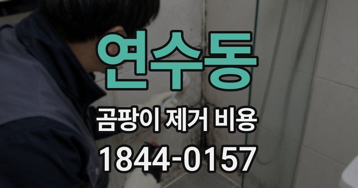 연수동 곰팡이 제거 비용