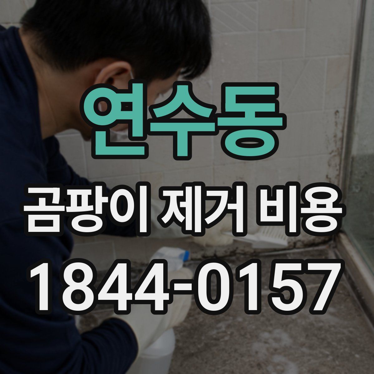 연수동 곰팡이 제거 비용