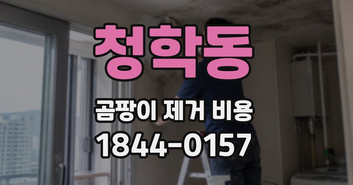 청학동 곰팡이 제거 비용