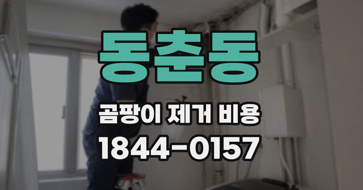 동춘동 곰팡이 제거 비용