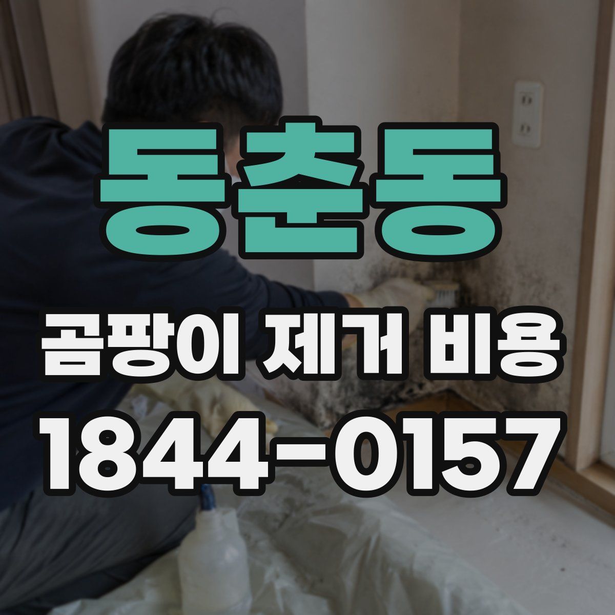 동춘동 곰팡이 제거 비용
