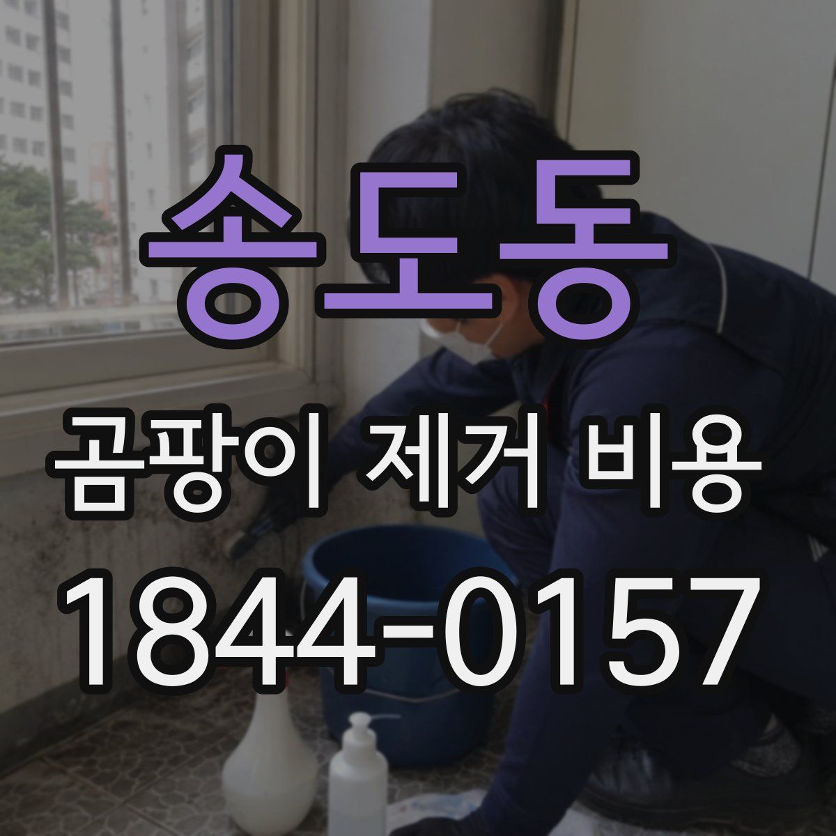 송도동 곰팡이 제거 비용