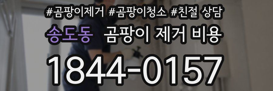 송도동 곰팡이 제거 비용