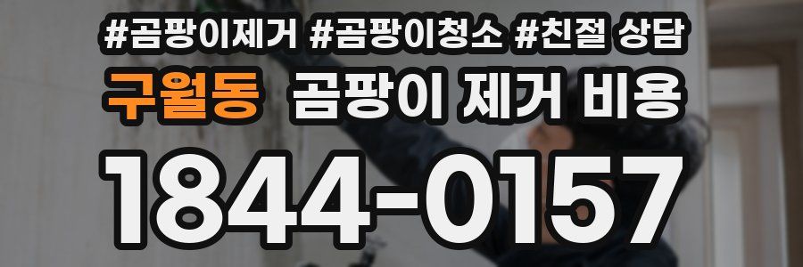 구월동 곰팡이 제거 비용
