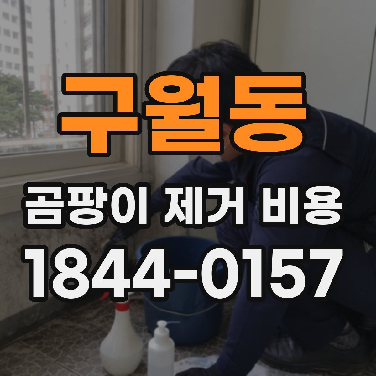 구월동 곰팡이 제거 비용
