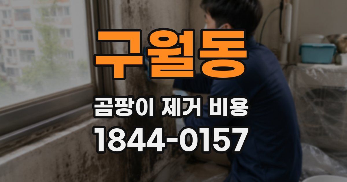 구월동 곰팡이 제거 비용