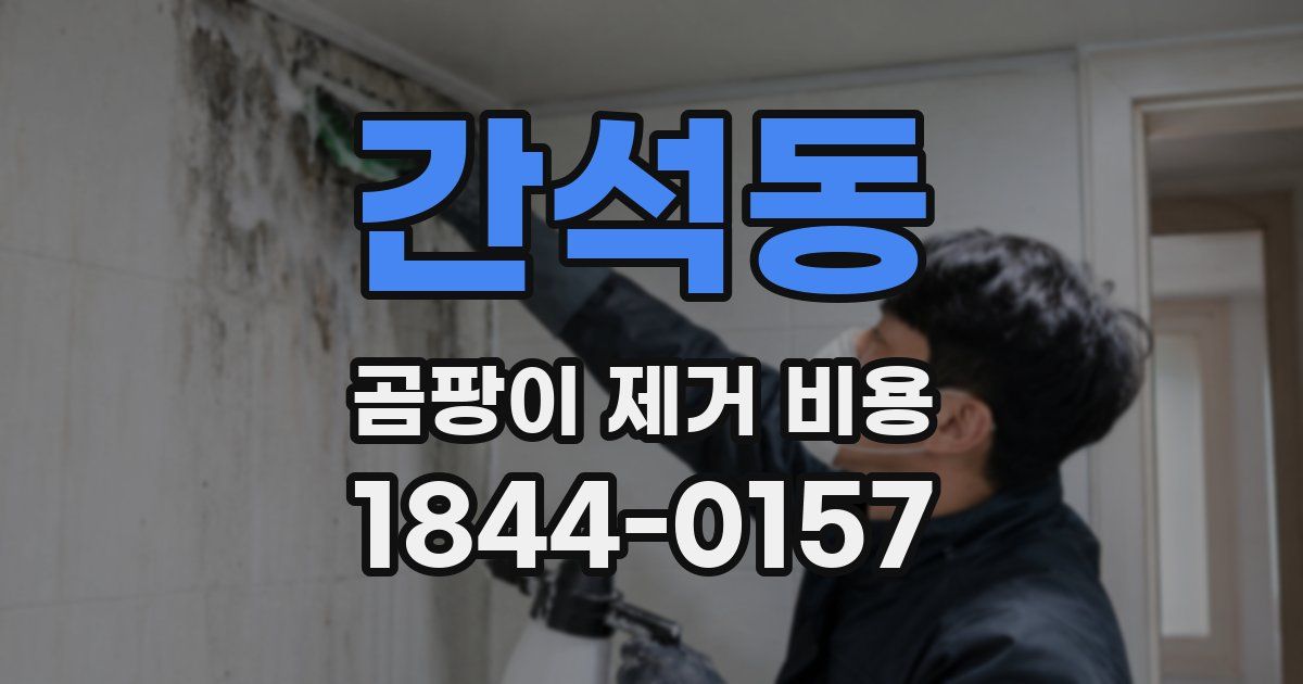 간석동 곰팡이 제거 비용