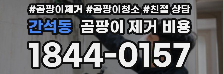간석동 곰팡이 제거 비용
