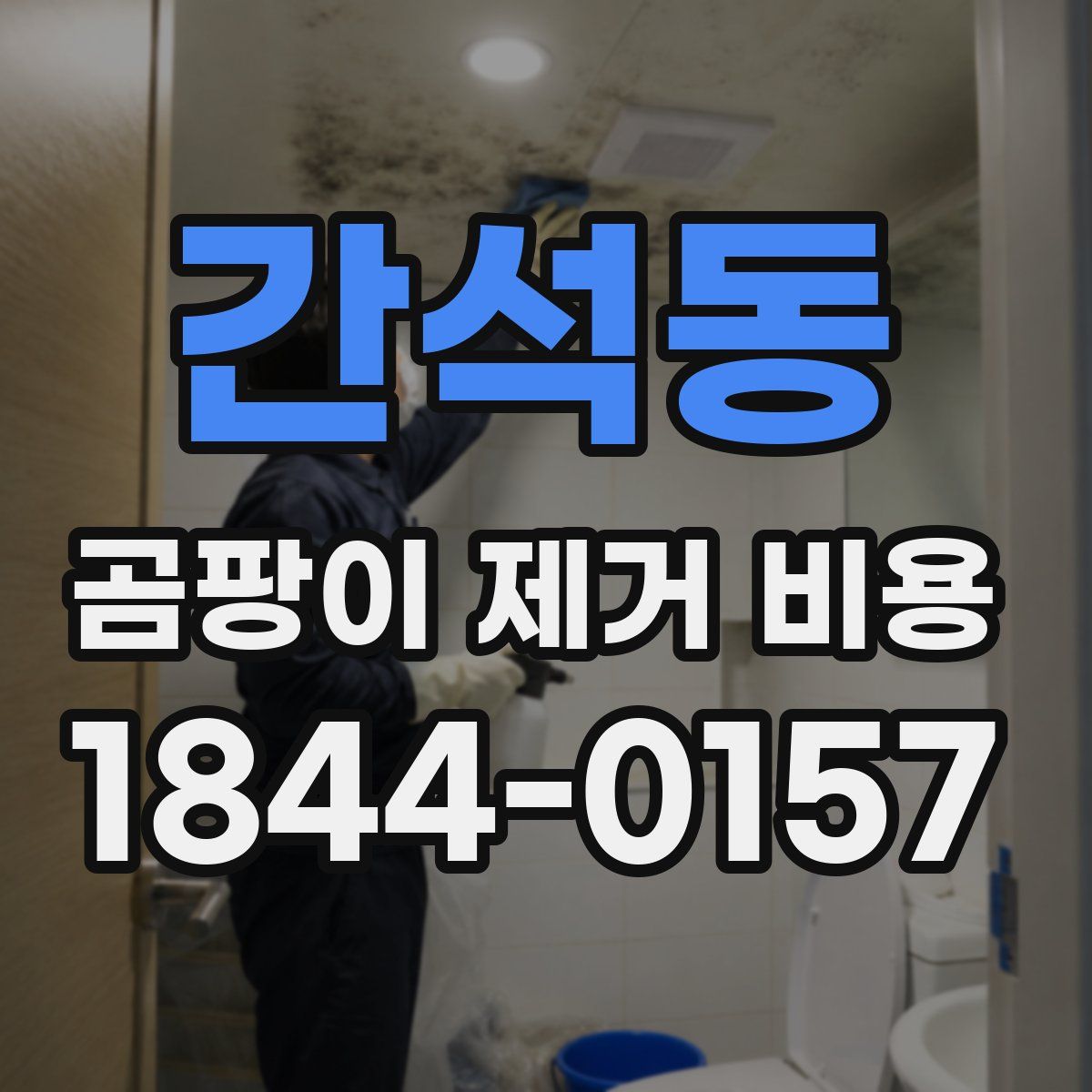 간석동 곰팡이 제거 비용