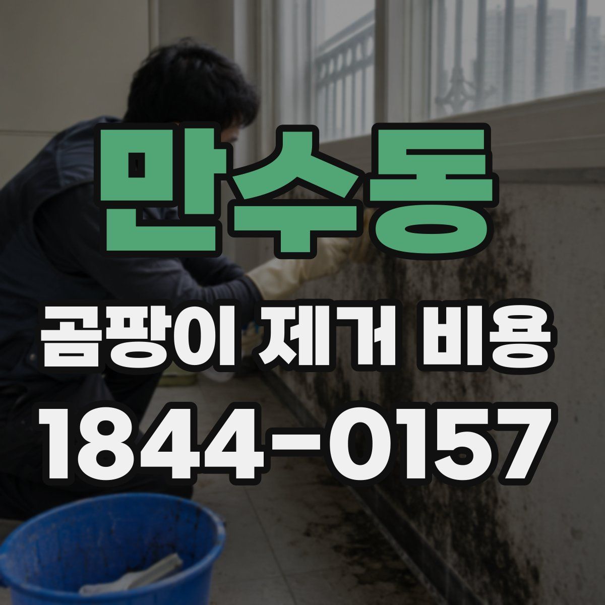 만수동 곰팡이 제거 비용