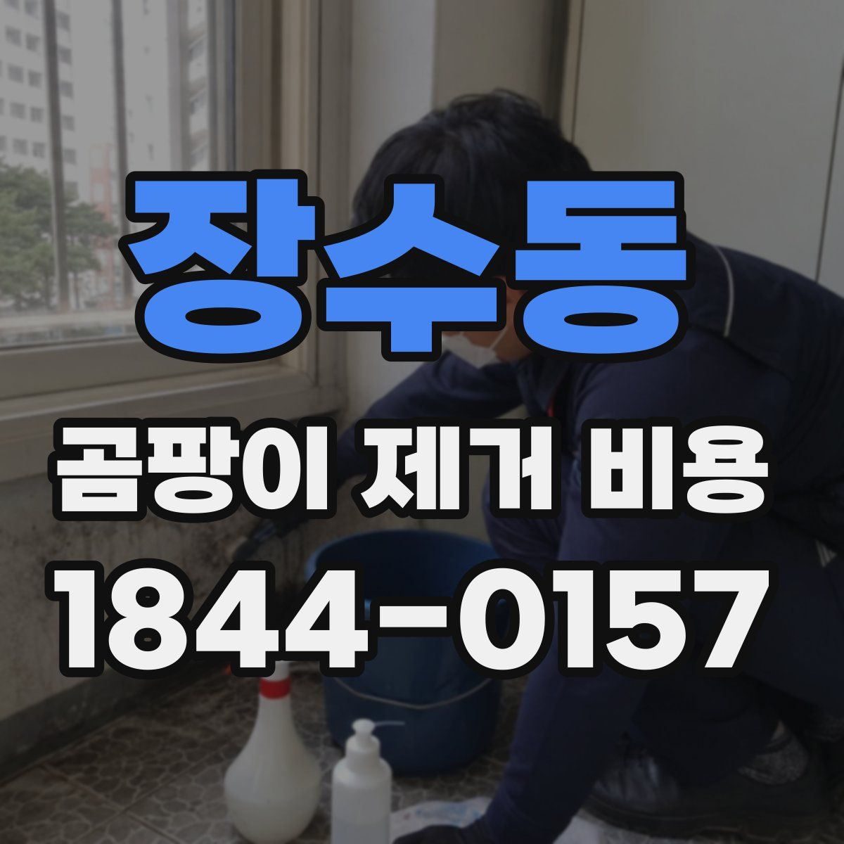 장수동 곰팡이 제거 비용