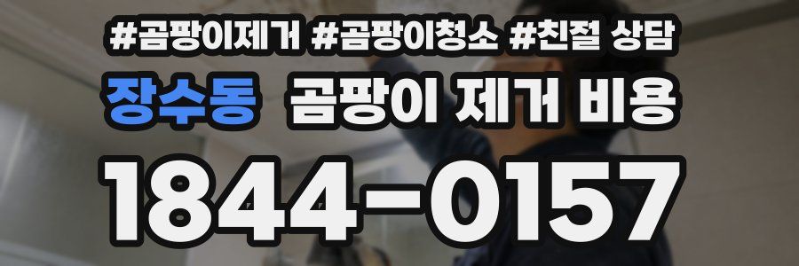 장수동 곰팡이 제거 비용