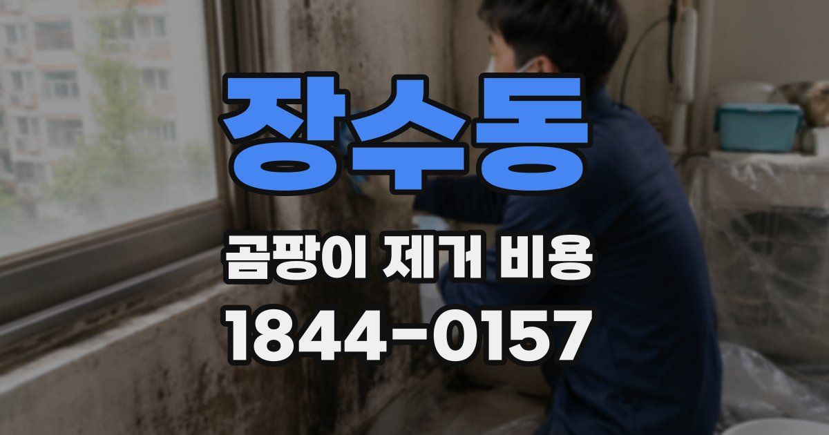 장수동 곰팡이 제거 비용