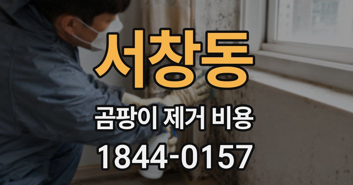 서창동 곰팡이 제거 비용