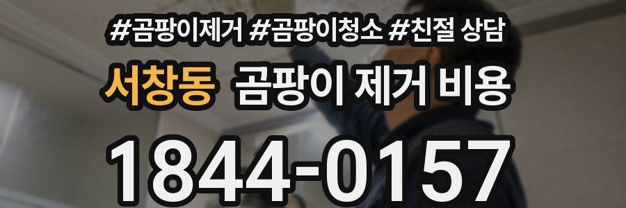 서창동 곰팡이 제거 비용