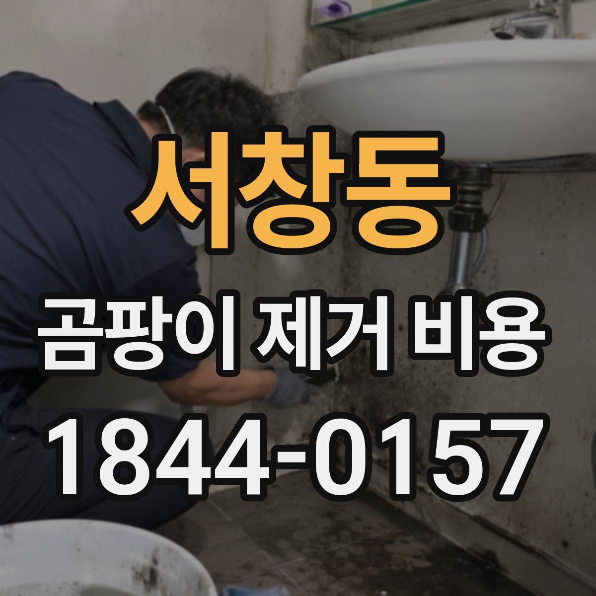 서창동 곰팡이 제거 비용