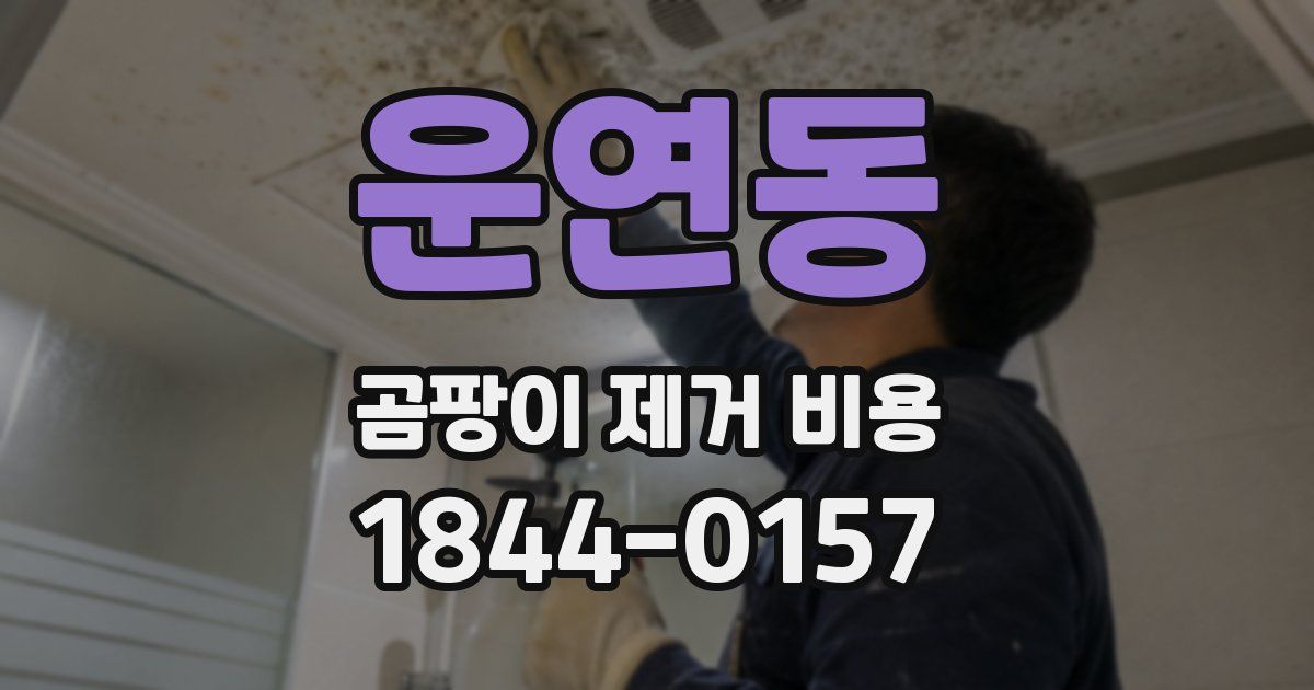 운연동 곰팡이 제거 비용