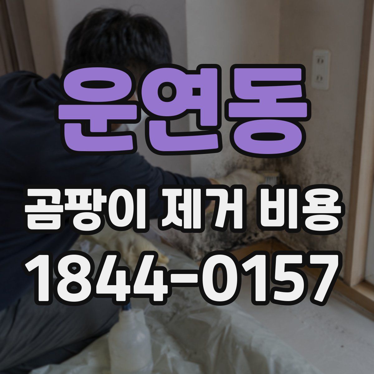 운연동 곰팡이 제거 비용