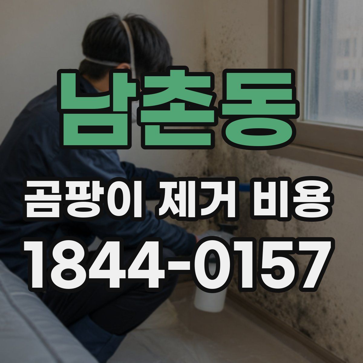 남촌동 곰팡이 제거 비용