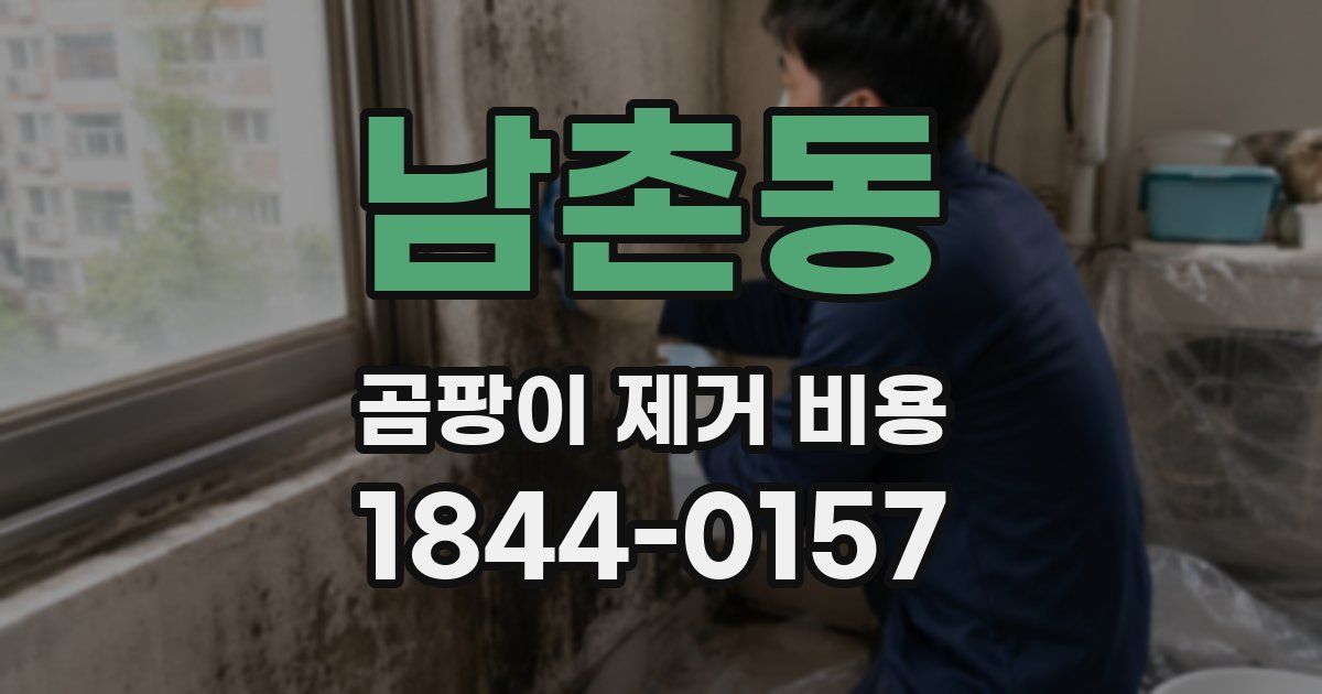 남촌동 곰팡이 제거 비용
