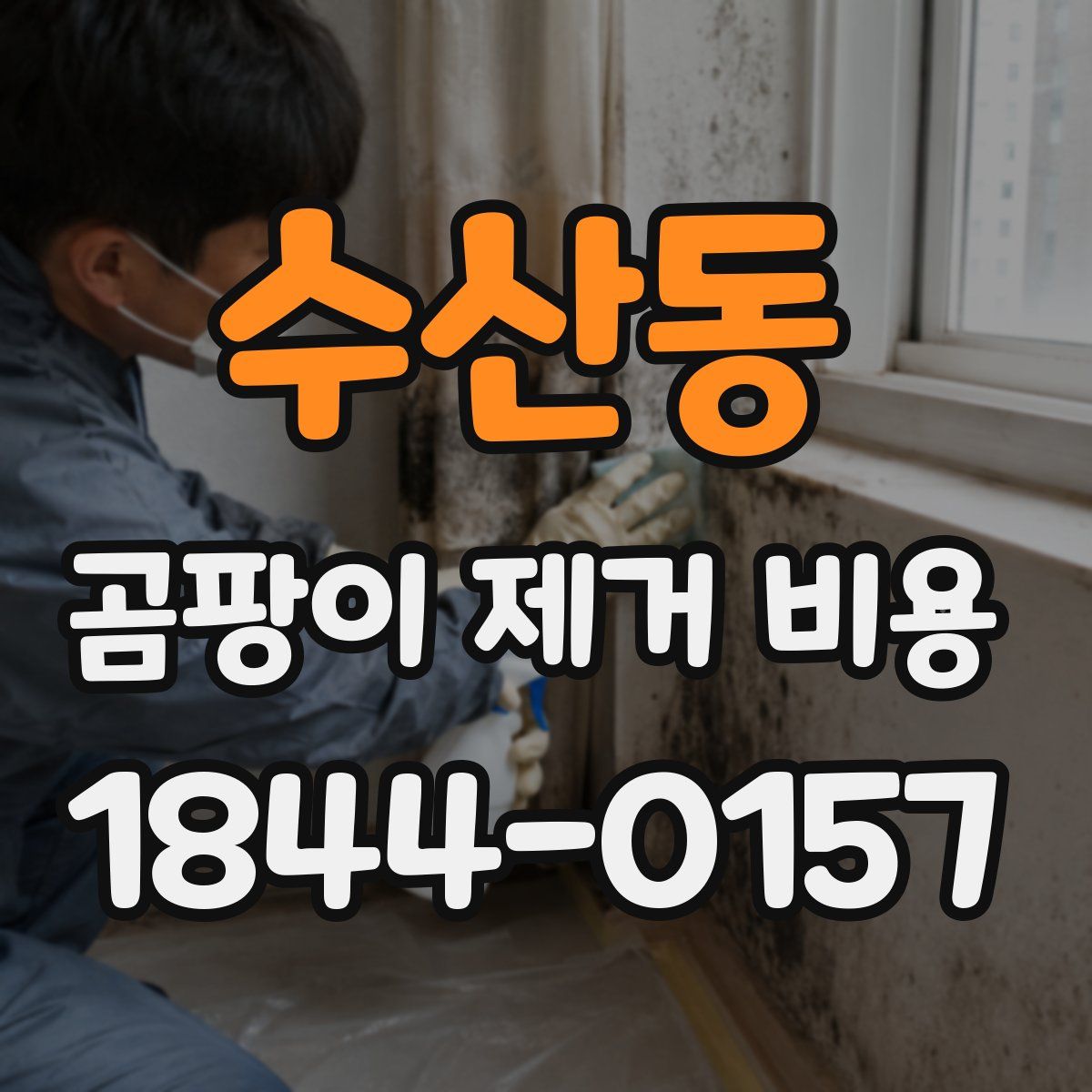 수산동 곰팡이 제거 비용