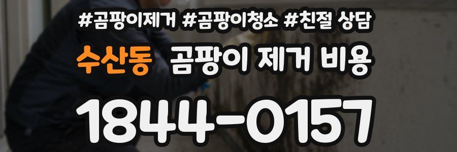 수산동 곰팡이 제거 비용
