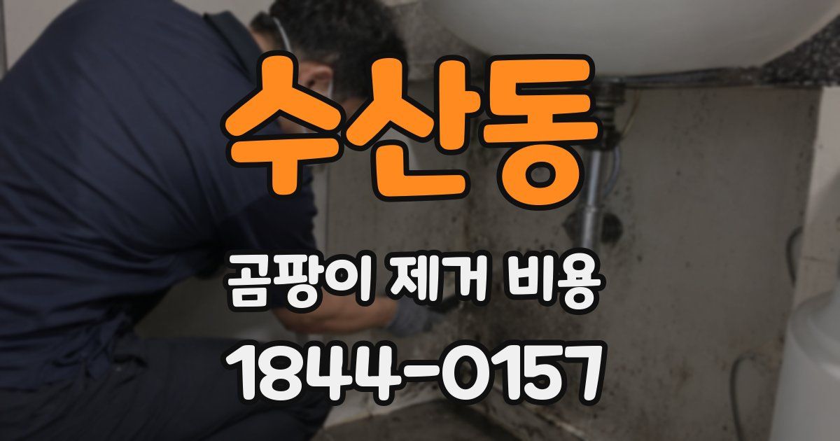 수산동 곰팡이 제거 비용